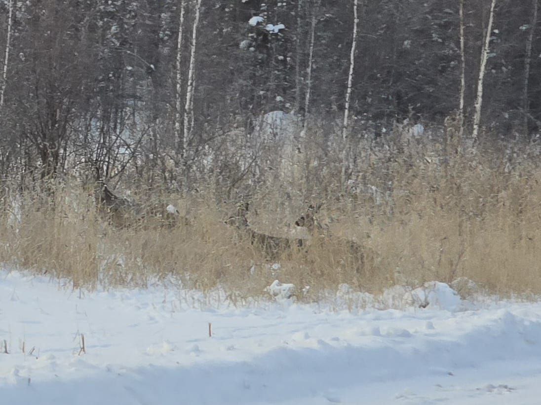 И так каждый год в этот день И так каждый год в этот день