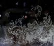 Зима снова создаёт свои шедевры на наших окнах