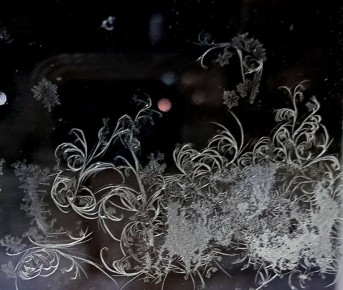 Зима снова создаёт свои шедевры на наших окнах