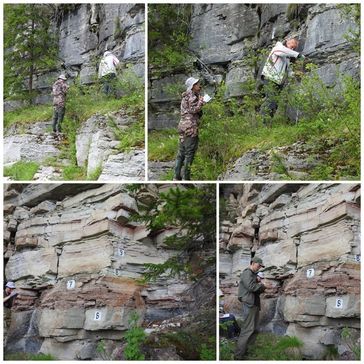 Ученые стали ближе к раскрытию тайны кембрийского взрыва Ученые стали ближе к раскрытию тайны кембрийского взрыва