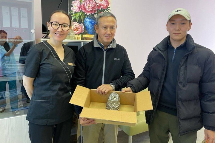 Пернатый найденыш. Маленький совенок, найденный в октябре на территории медицинского центра в Якутске, обрел новый дом