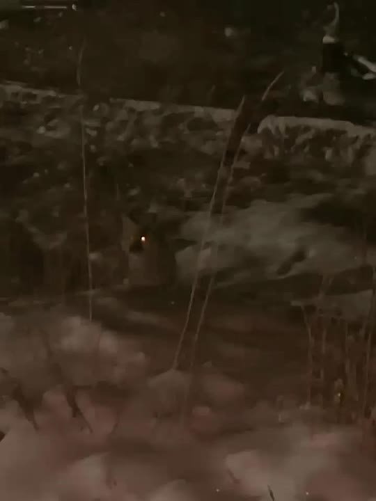 SD Новости Якутии | Сообщить новость | ВК/MAX