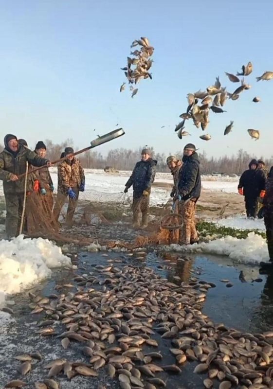 Бл улууугар "балыгы кттэр кэм" сааланна