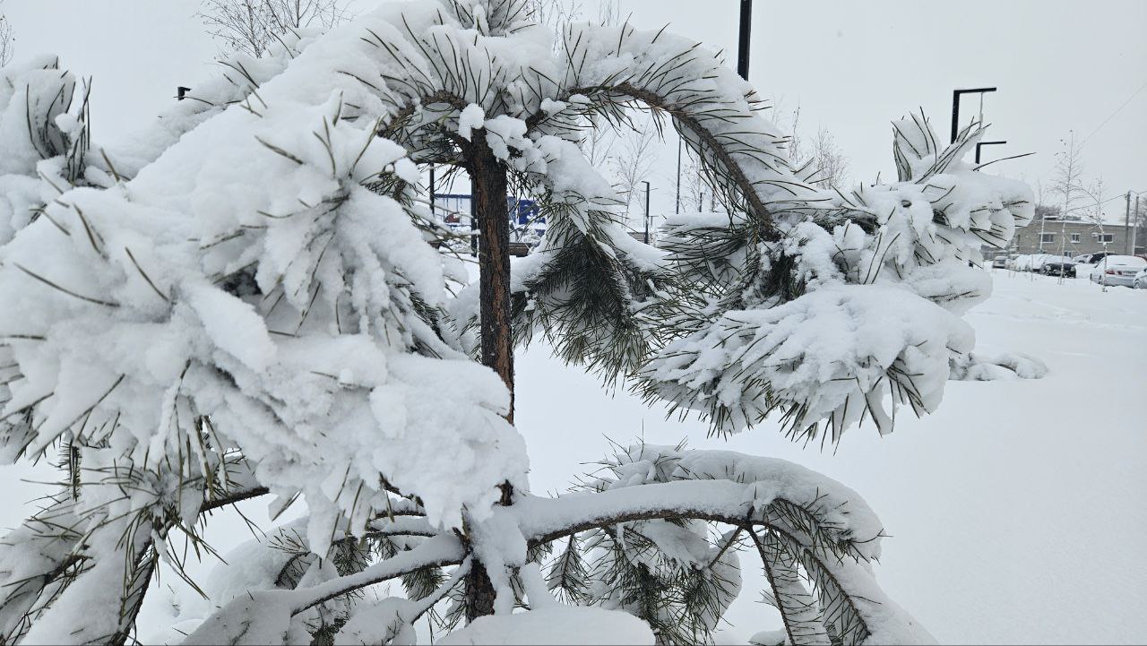 На Якутию надвигаются серьезные морозы