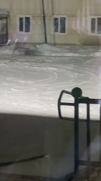   :.               &quot;&quot;