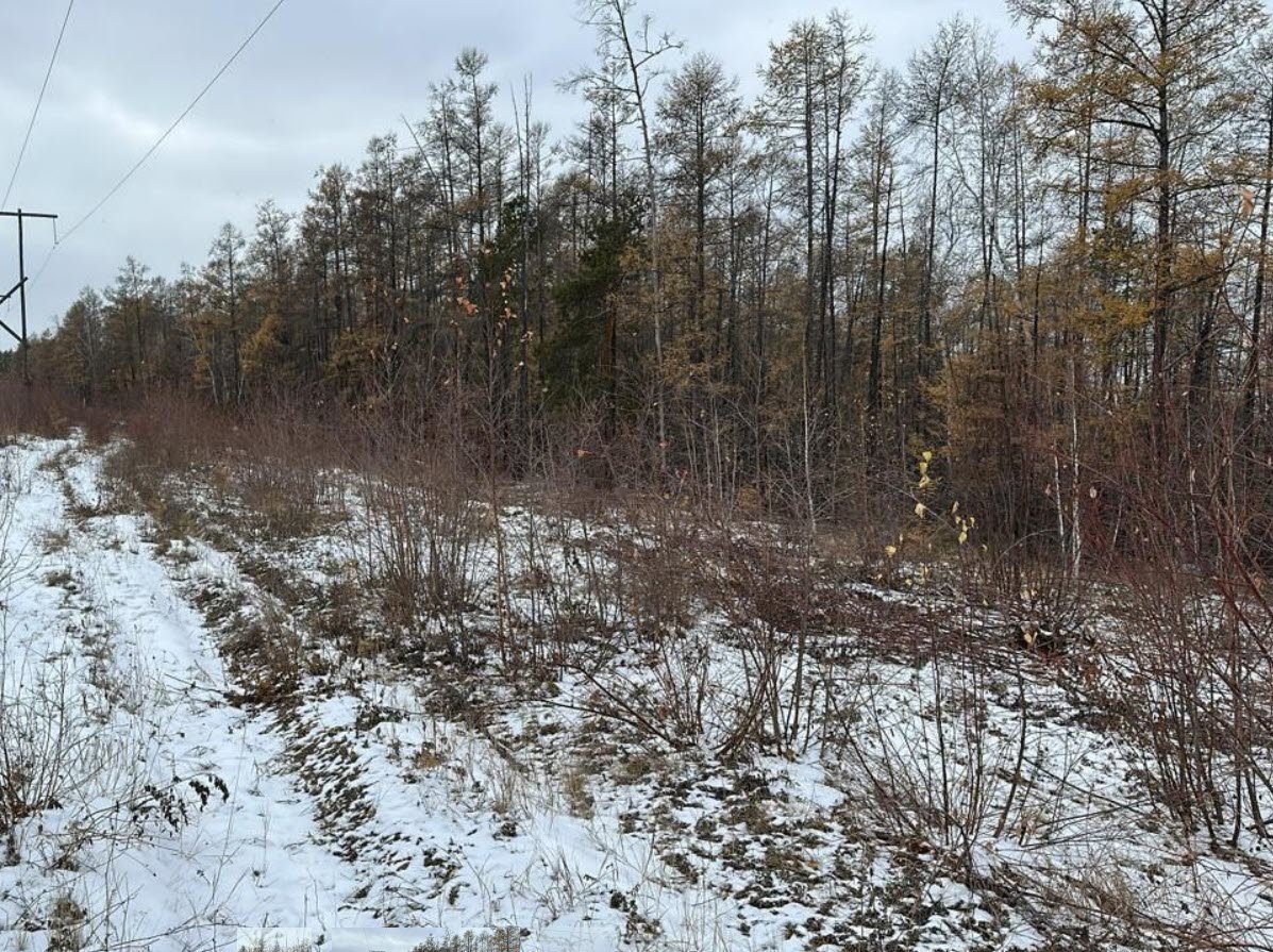 В Айхале в лесу замерзла молодая женщина