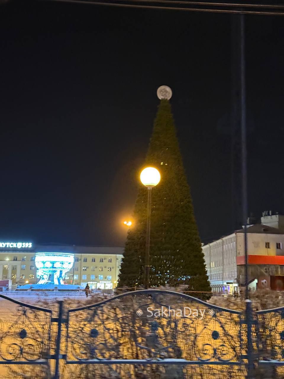 #пишут Елочка собрана, осталось нарядить #пишут Елочка собрана, осталось нарядить