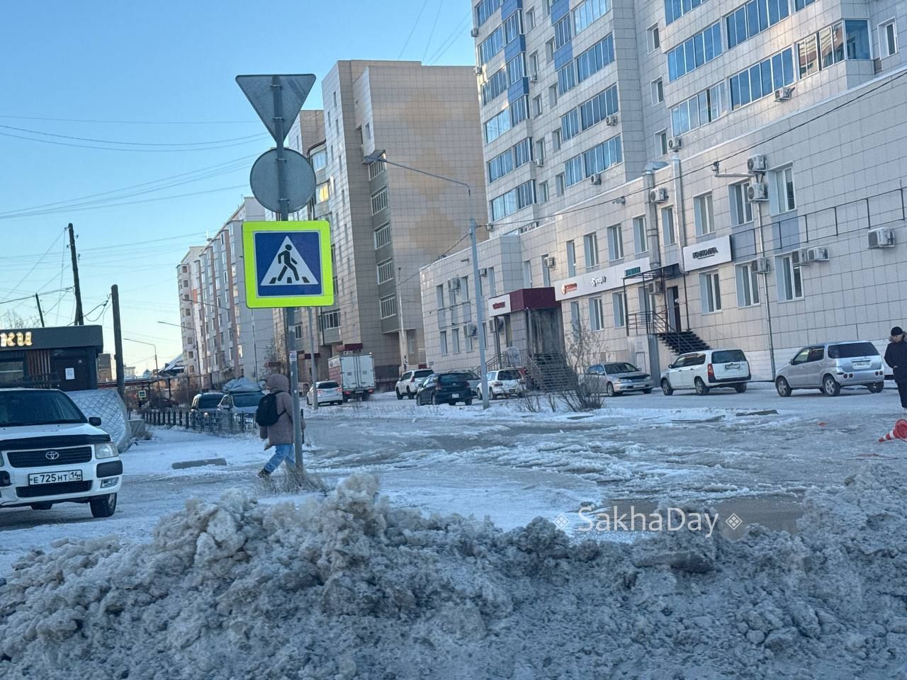 Пушкина во льду. #дляsakhaday Пушкина во льду. #дляsakhaday