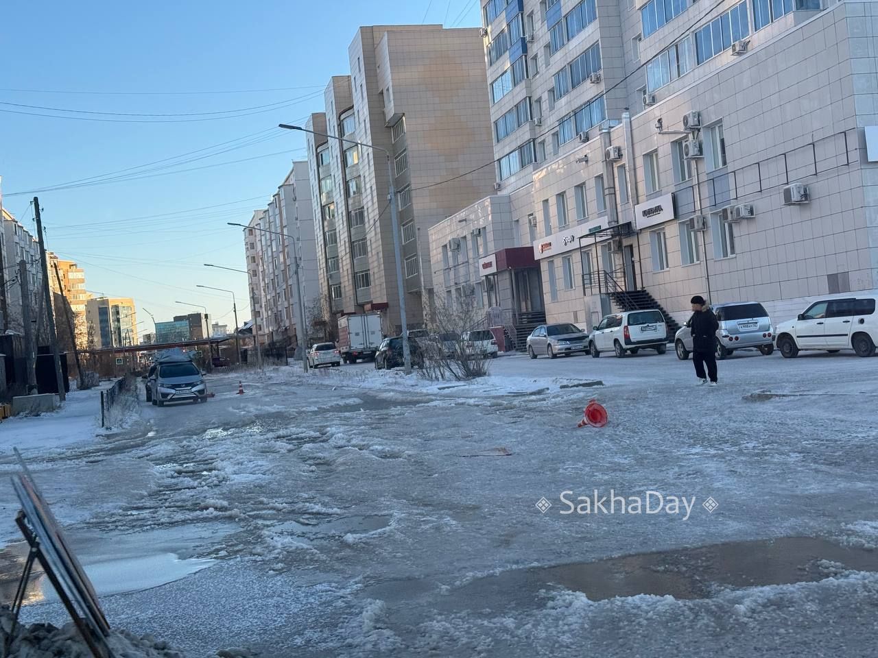 Пушкина во льду. #дляsakhaday Пушкина во льду. #дляsakhaday