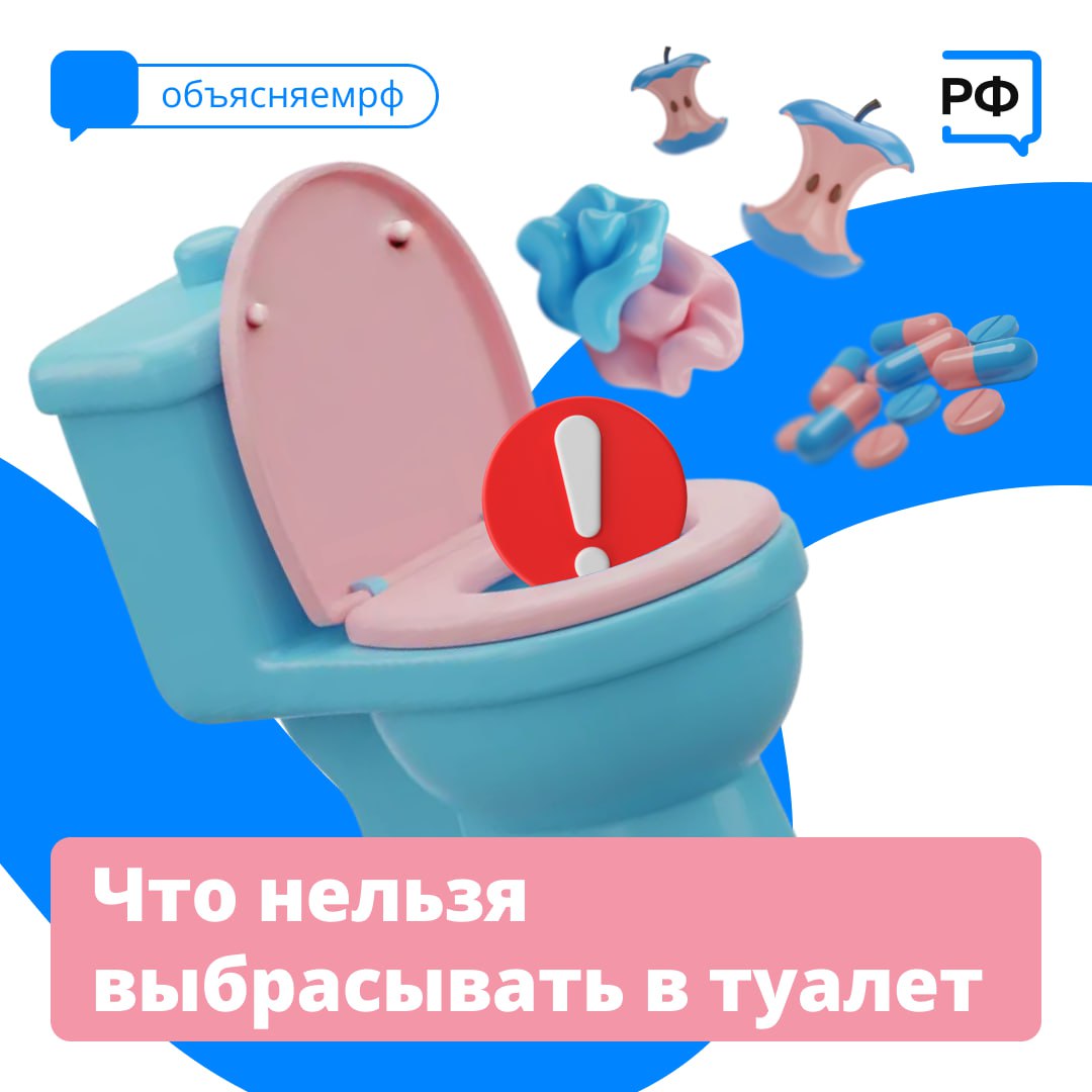 Салфетки, ватные диски, остатки чайной заварки и испорченная еда — многие привыкли отправлять все это в унитаз