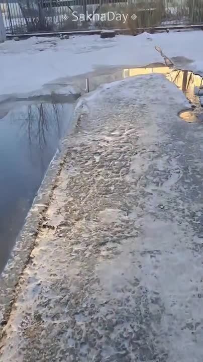    ,           .  24 .2.            