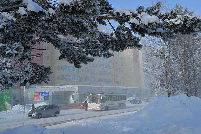 Зима будет холоднее предыдущей