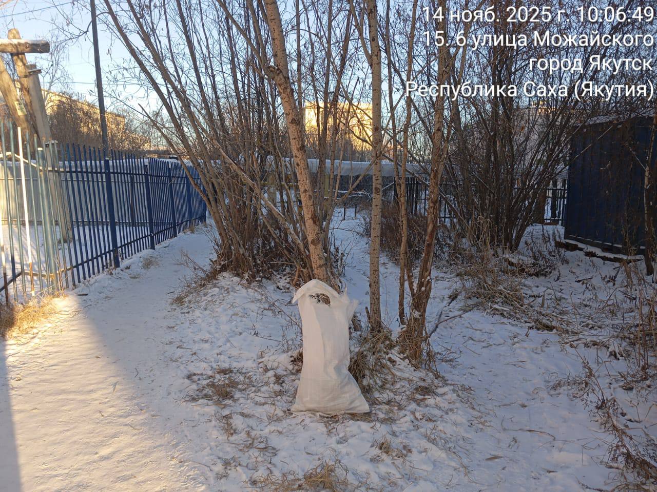 Муниципальными дворниками проводится ежедневная работа по подбору случайного мусора на территории Гагаринского округа Муниципальными дворниками проводится ежедневная работа по подбору случайного мусора на территории Гагаринского округа