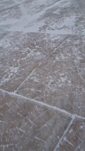 Елку на Оржанке уже украсили