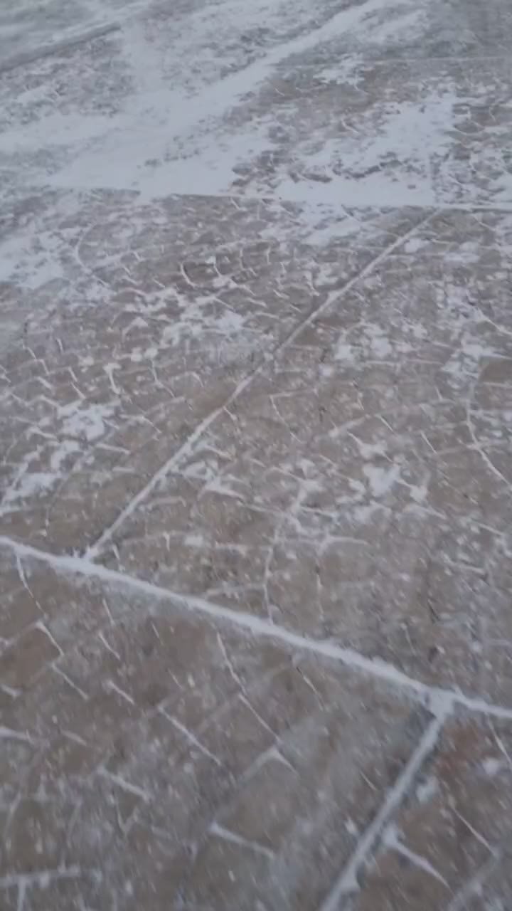 Елку на Оржанке уже украсили