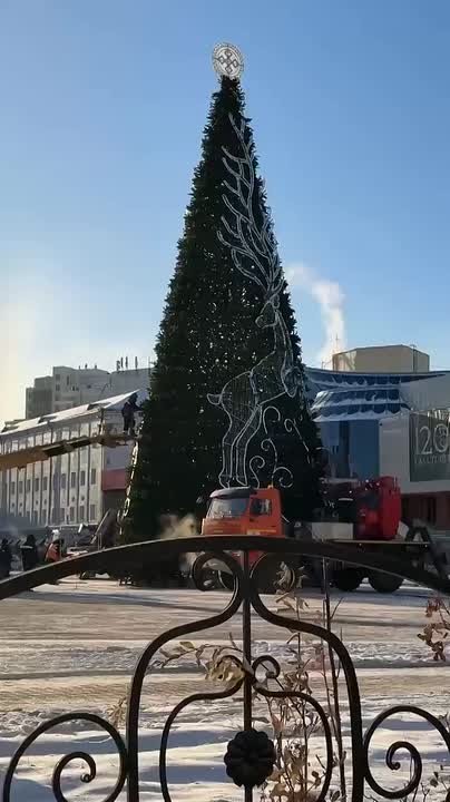 Елки на двух площадях, пока без новогоднего облачения