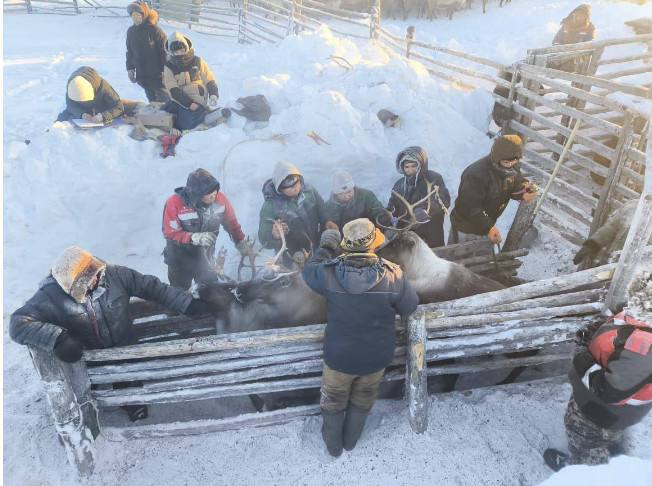 В Усть-Янском районе Якутии идет осенняя корализация