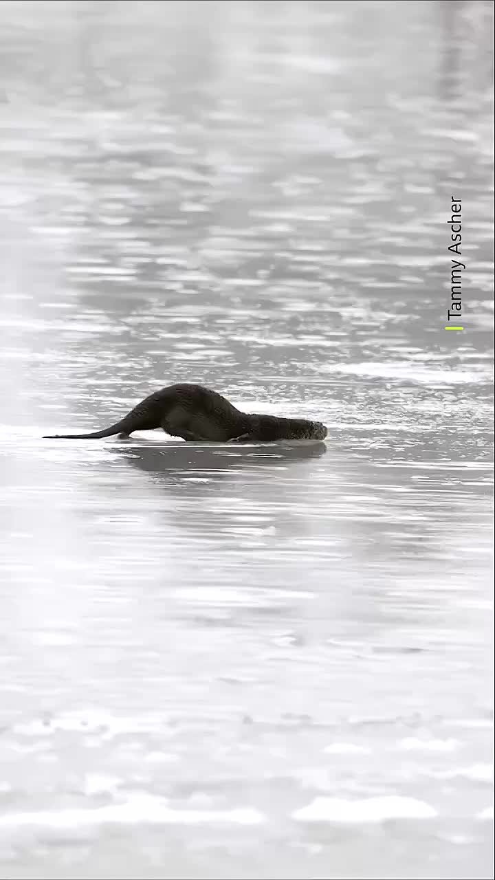 Доброе утро, пятница