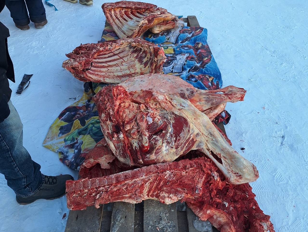 Идээ – 2025: Дьокуускайга дьаарбакаа 60-тан тахса туонна эт атыыланыаа Идээ – 2025: Дьокуускайга дьаарбакаа 60-тан тахса туонна эт атыыланыаа