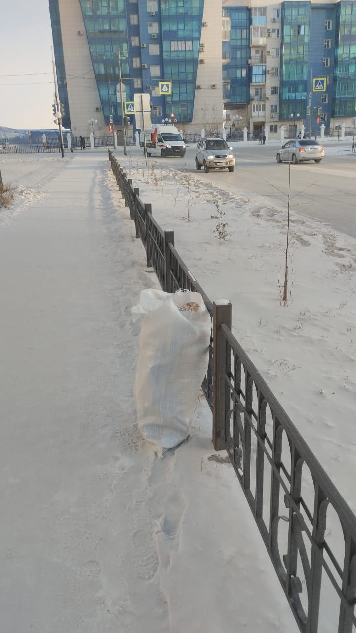 С добрым утром! В Губинском округе наши дворники убирают мусор на улицах, чтобы день начинался с чистоты и свежести