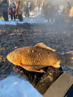 Саханы саха дэппит, Кэбээйини суон сураырдыбыт - кмс хатырыктаах собо