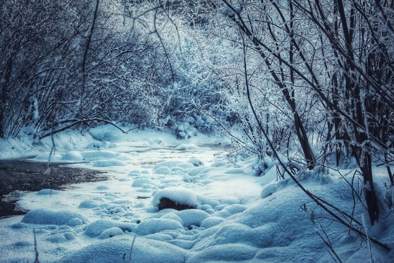 И еще немного зимней сказки от еще одного нашего любимого подписчика И еще немного зимней сказки от еще одного нашего любимого подписчика