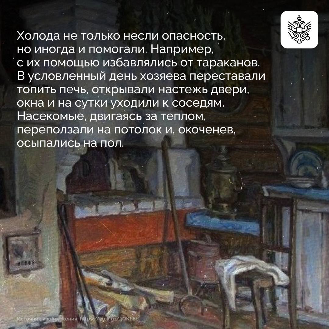Зима все ближе, и пора готовиться: доставать из шкафов теплые вещи, заносить с балкона цветы и подбирать новогодние подарки Зима все ближе, и пора готовиться: доставать из шкафов теплые вещи, заносить с балкона цветы и подбирать новогодние подарки
