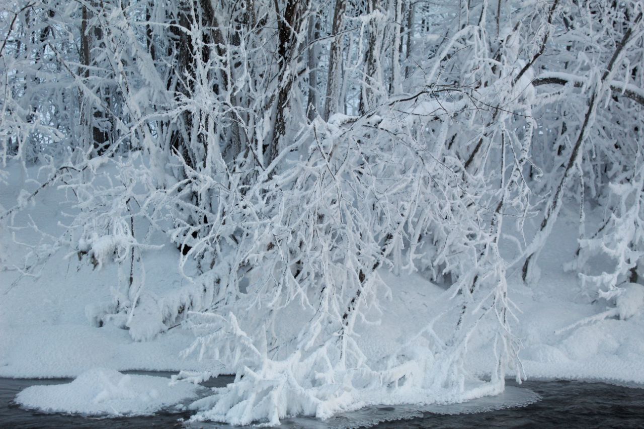 И еще немного зимней сказки от еще одного нашего любимого подписчика И еще немного зимней сказки от еще одного нашего любимого подписчика