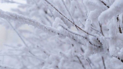 Снег ожидается на западе Якутии 17 ноября