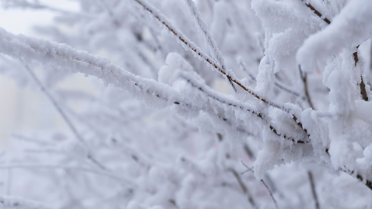 Снег ожидается на западе Якутии 17 ноября