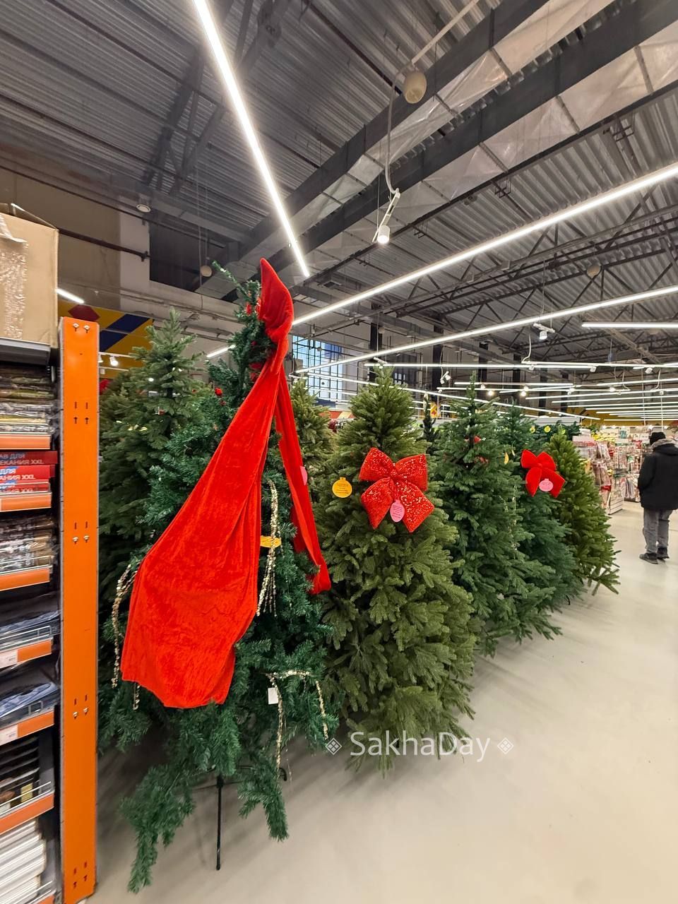 В одном из маркетов вырос елочный лес В одном из маркетов вырос елочный лес