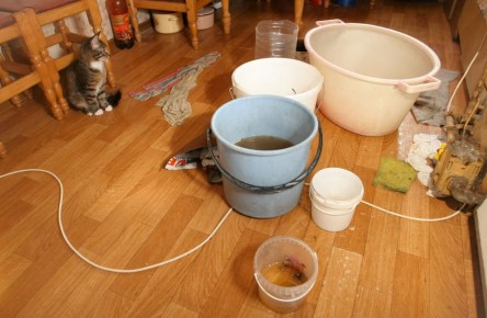 Жители Борисовки-1 жалуются на подтопление домов и просят помощи