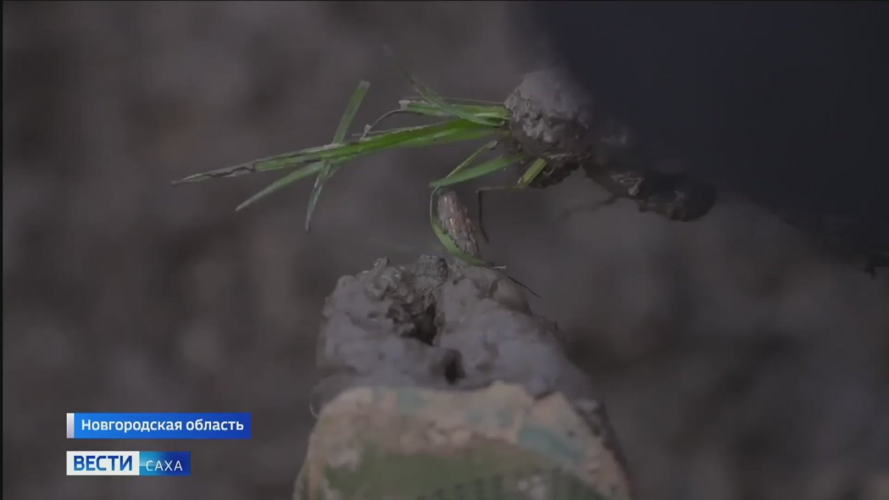 Участники поискового отряда "Сонор" Сунтарского района вернулись из очередной экспедиции