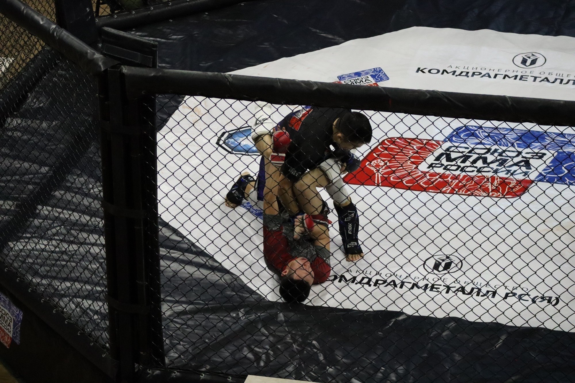 Победители и призеры Чемпионата Республики Саха (Якутия) по смешанным боевым единоборствам (ММА): Победители и призеры Чемпионата Республики Саха (Якутия) по смешанным боевым единоборствам (ММА):