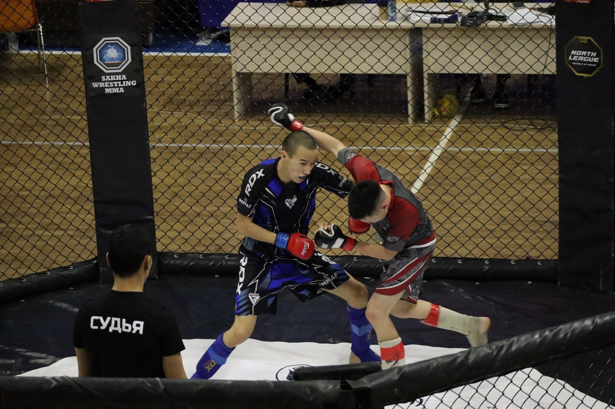 Победители и призеры Чемпионата Республики Саха (Якутия) по смешанным боевым единоборствам (ММА): Победители и призеры Чемпионата Республики Саха (Якутия) по смешанным боевым единоборствам (ММА):