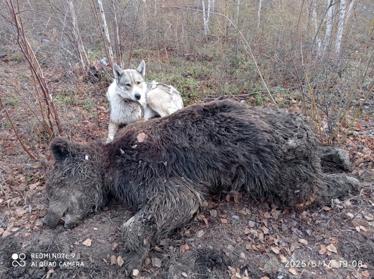 Адьыра ахсаанын срннээин: Нам улууунааы айыла харыстабылын иниспиэксийэтин уопутуттан