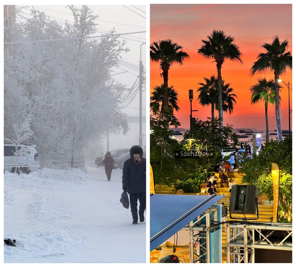 - Это традиция у вас такая – зимовать на югах?