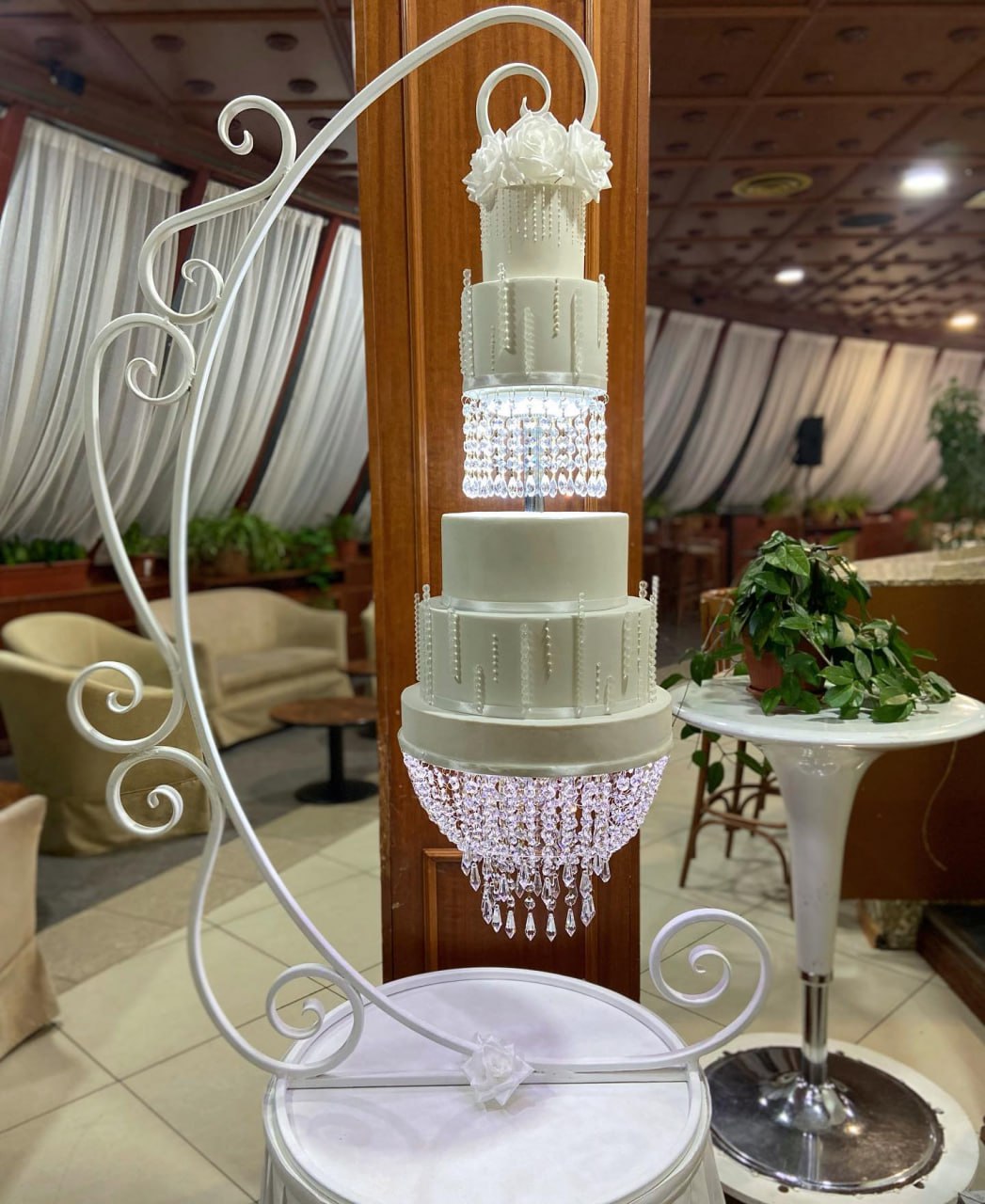 Легендарная тортофея сообщила о завершении деятельности Легендарная тортофея сообщила о завершении деятельности