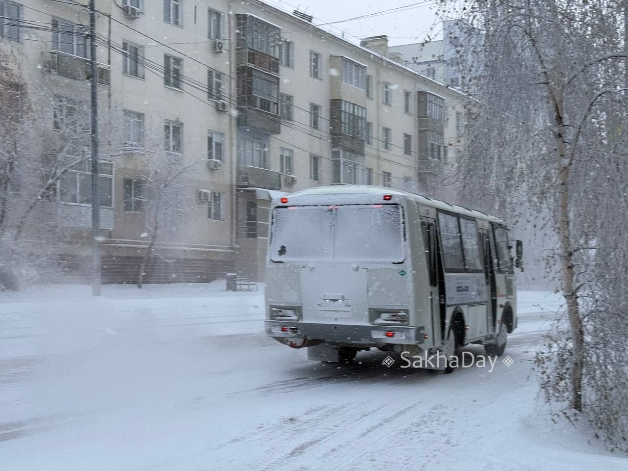 Снегопад в Якутске. @sakhaday Снегопад в Якутске. @sakhaday