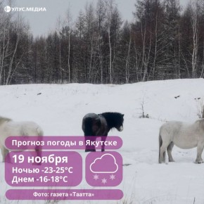 О погоде в Якутии 19 ноября: по нижней Лене местами умеренный снег