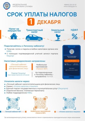 Уплатить имущественные налоги за 2024 год необходимо не позднее 1 декабря 2025 года