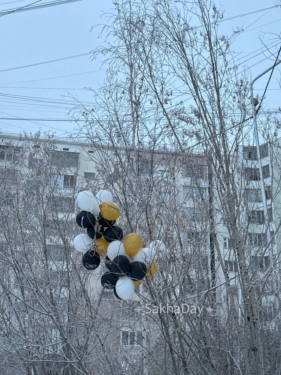 Доброе утро. Шарики на Петровского 10/5 #дляsakhaday