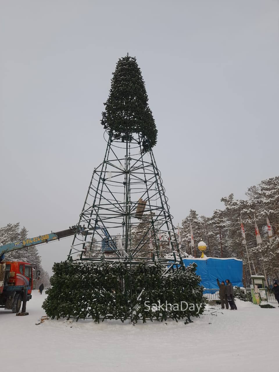 Сегодня потеплело -13! Самое время для прогулок в парке Сегодня потеплело -13! Самое время для прогулок в парке