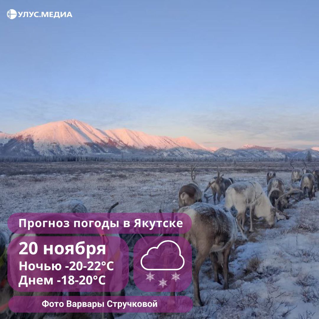 Ветер умеренный, снег: о погоде в Якутии на 20 ноября