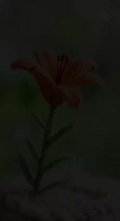 #Пушистыеновости: Вязаные бизоны и стерхи