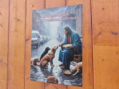 #пишут. А на нашей остановке такой плакат висит