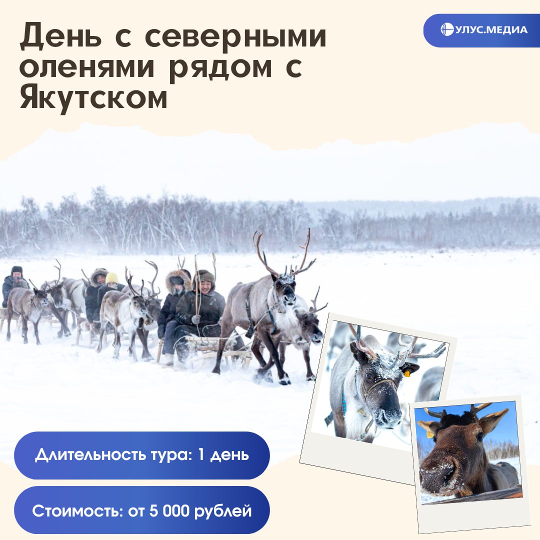 Зимние туры в Якутии: куда поехать и что посмотреть Зимние туры в Якутии: куда поехать и что посмотреть