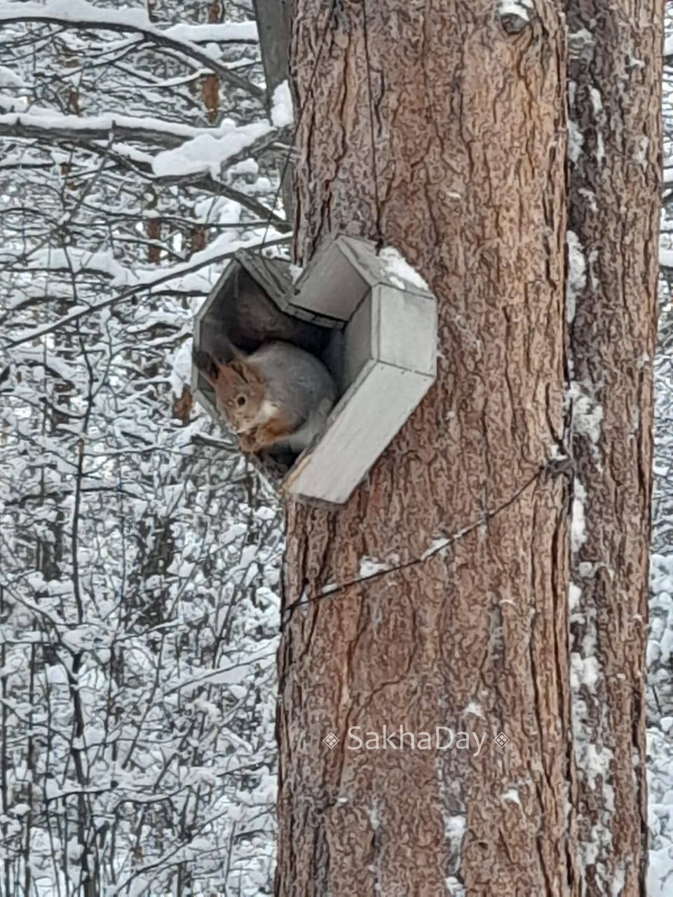 Сегодня потеплело -13! Самое время для прогулок в парке Сегодня потеплело -13! Самое время для прогулок в парке