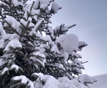 Неделя контрастов: синоптик Тускул дал прогноз на конец ноября