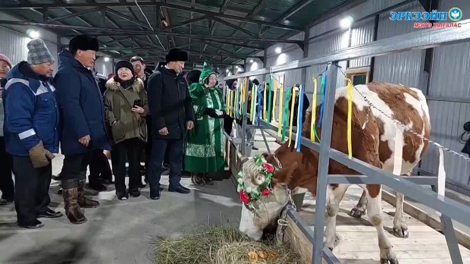       III     -    .           100 ...